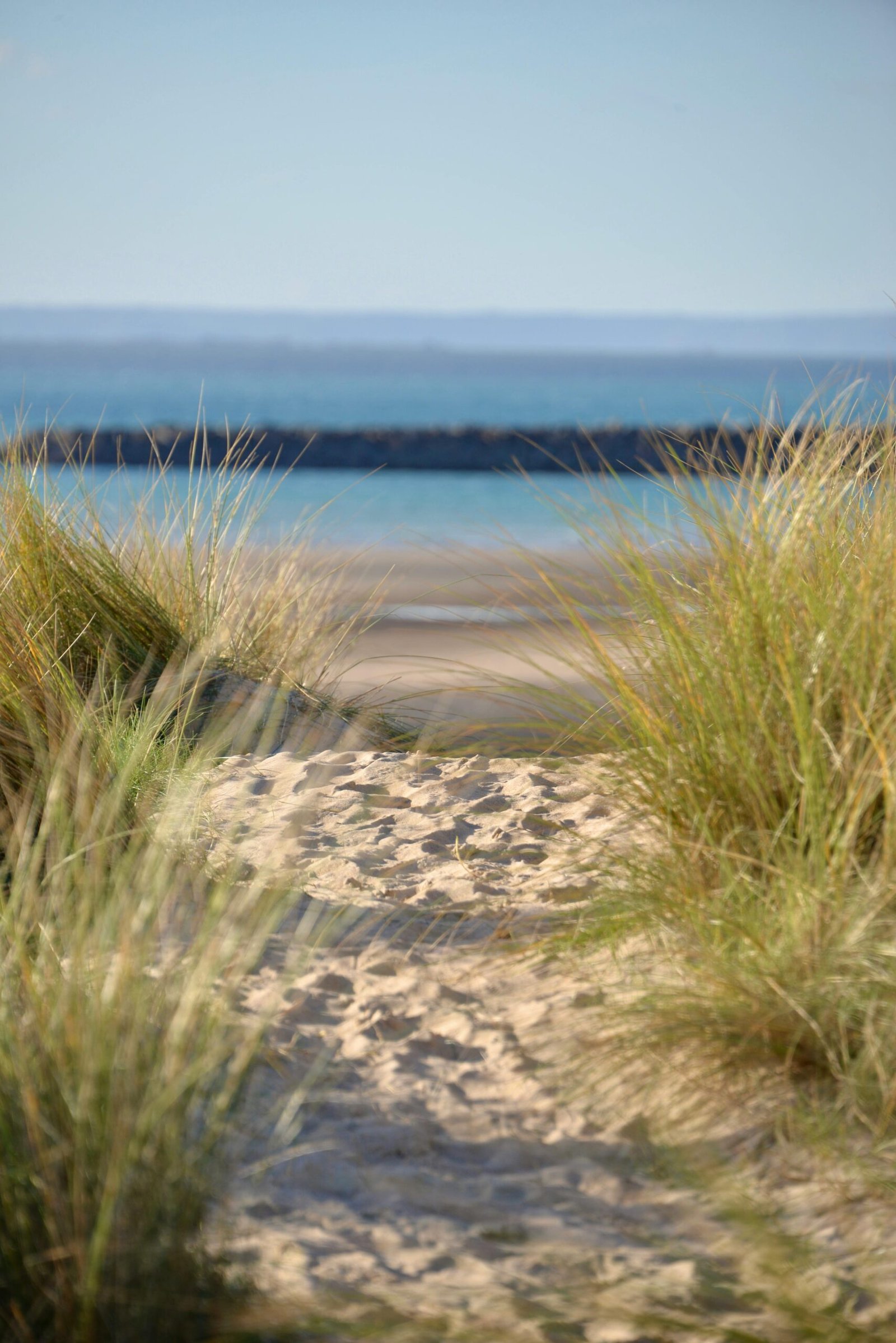 Scenic sandy path leads through dunes to a serene beach in Barneville-Carteret, Normandie.